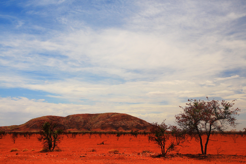 Building in Bushfire Areas – Five Things to Consider