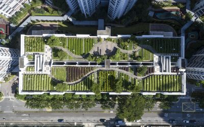 How to Adopt Sustainable And Greener Building Practices